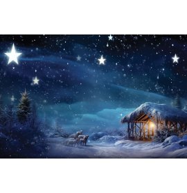 Boże Narodzenie - Tło szopki - 41 - Baner religijny - 300x200 cm